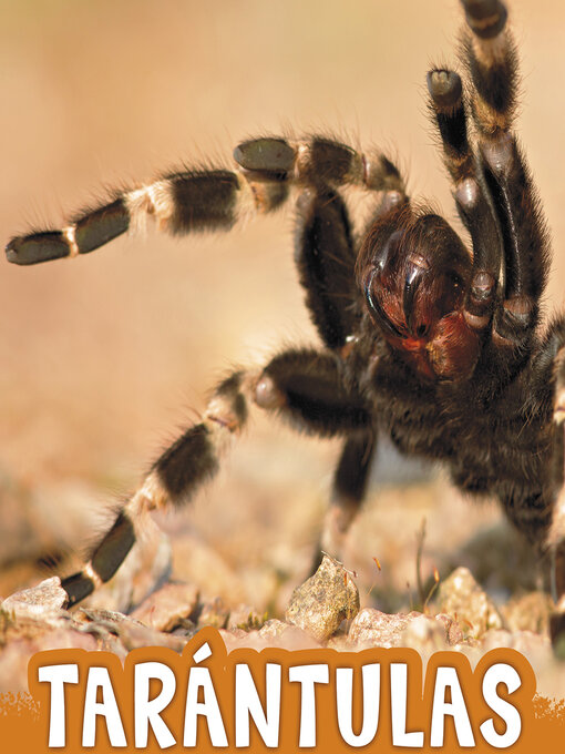 Title details for Tarántulas by Jaclyn Jaycox - Available